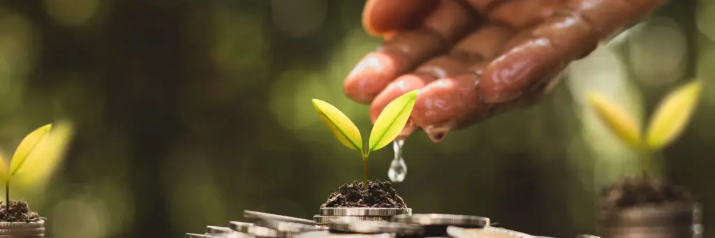 The seedlings are growing on a lot of coins and the hands of men | Holistic Wellness & Psychiatry