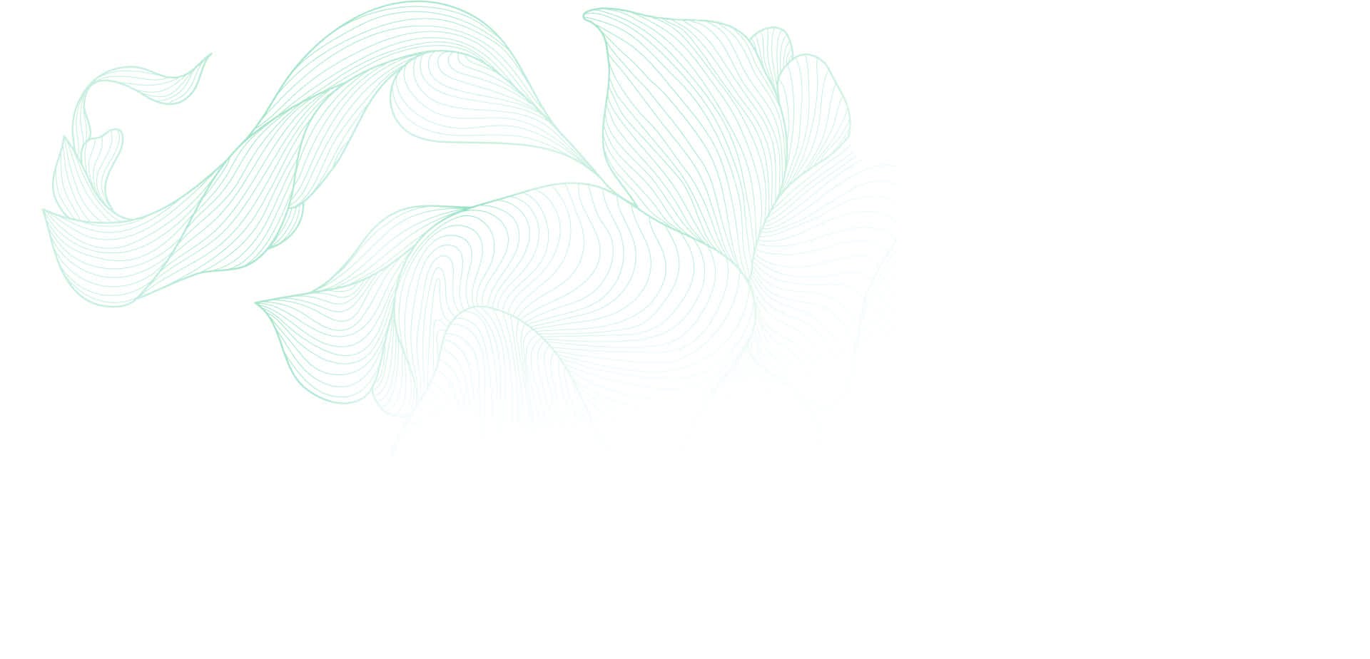 About Holistic Wellness and Psychiatry, Mental Health Clinic in Cedar Rapids, IA and St. Thomas, USVI