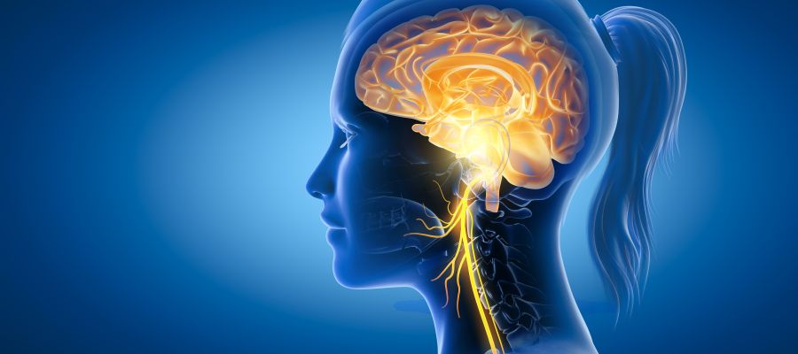 Post: Psychedelic Treatment Is a Method That Helps Reset the Brain and Alleviate Depression and Trauma Responses Near Me in Cedar Rapid, IA, and St. Thomas, USVI