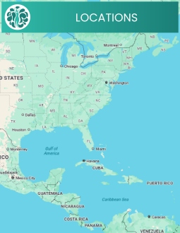 Get Directions to Holistic Wellness And Psychiatry in Cedar Rapids, Iowa and St Thomas, USVI