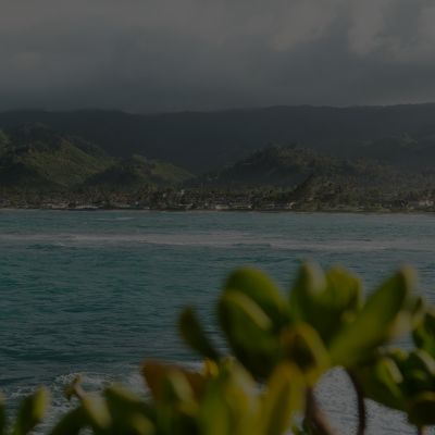 Holistic Wellness and Psychiatry, Mental Health Clinic Located in St. Thomas, USVI