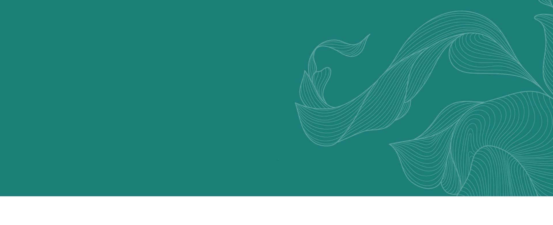 Meet Our Team at Holistic Wellness and Psychiatry, Mental Health Clinic in Cedar Rapids, IA and St. Thomas, USVI