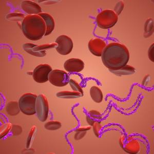 Tick-Borne Disease Treatment in Cedar Rapids, IA and St. Thomas, USVI Tick-Borne Disease Treatment in Cedar Rapids, IA and St. Thomas, USVI