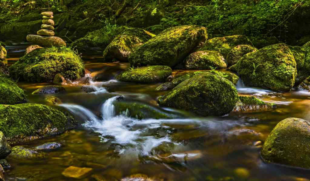 About Holistic Wellness and Psychiatry, Mental Health Clinic in Cedar Rapids, IA and St. Thomas, USVI About Holistic Wellness and Psychiatry, Mental Health Clinic in Cedar Rapids, IA and St. Thomas, USVI
