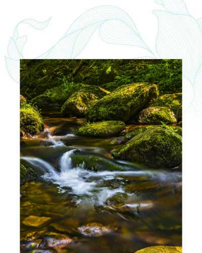 About Holistic Wellness and Psychiatry, Mental Health Clinic in Cedar Rapids, IA and St. Thomas, USVI About Holistic Wellness and Psychiatry, Mental Health Clinic in Cedar Rapids, IA and St. Thomas, USVI