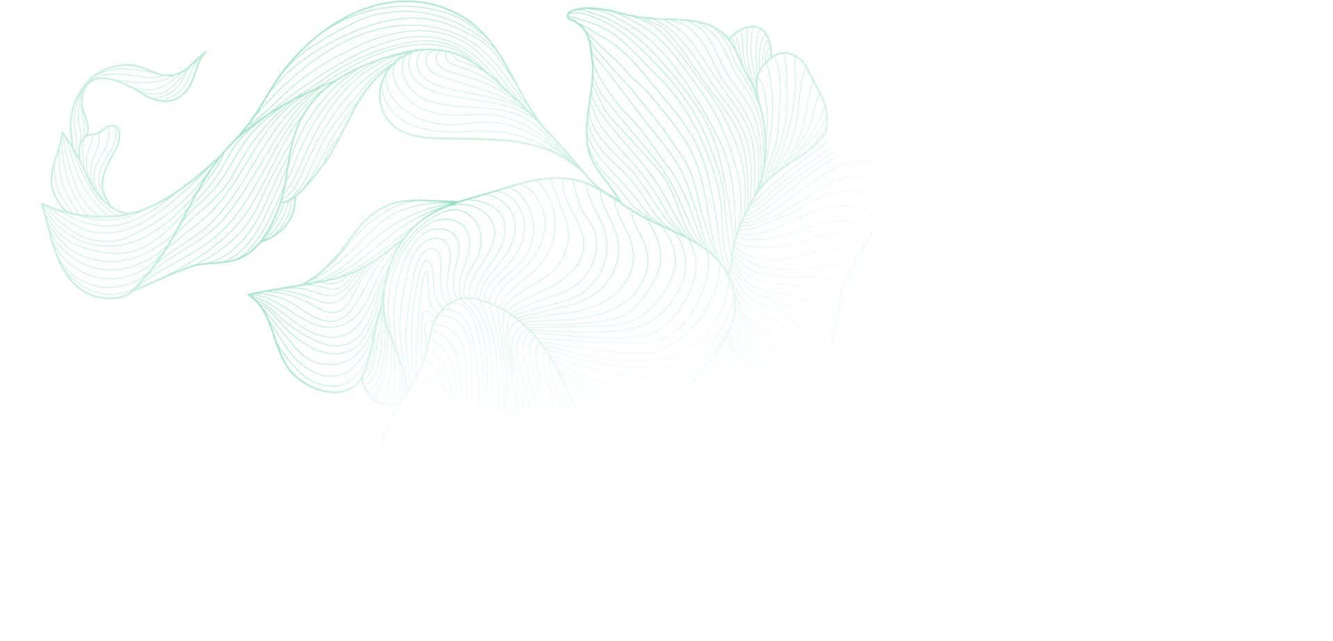 About Holistic Wellness and Psychiatry, Mental Health Clinic in Cedar Rapids, IA and St. Thomas, USVI