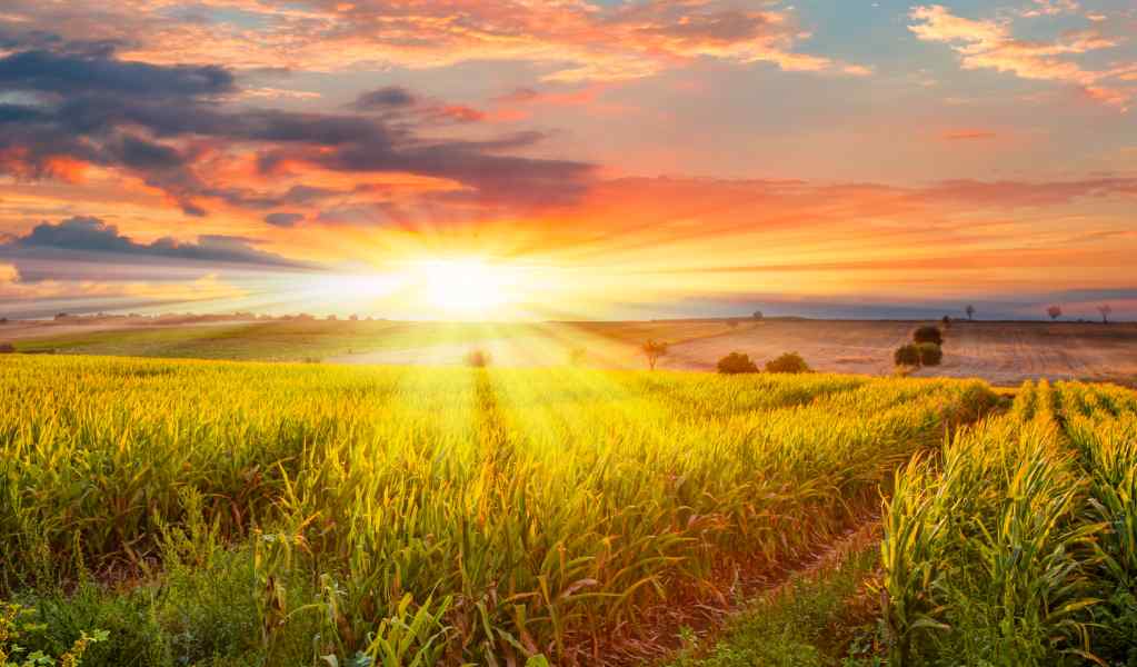 About Holistic Wellness and Psychiatry, Mental Health Clinic in Cedar Rapids, IA and St. Thomas, USVI About Holistic Wellness and Psychiatry, Mental Health Clinic in Cedar Rapids, IA and St. Thomas, USVI