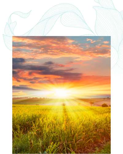 About Holistic Wellness and Psychiatry, Mental Health Clinic in Cedar Rapids, IA and St. Thomas, USVI About Holistic Wellness and Psychiatry, Mental Health Clinic in Cedar Rapids, IA and St. Thomas, USVI